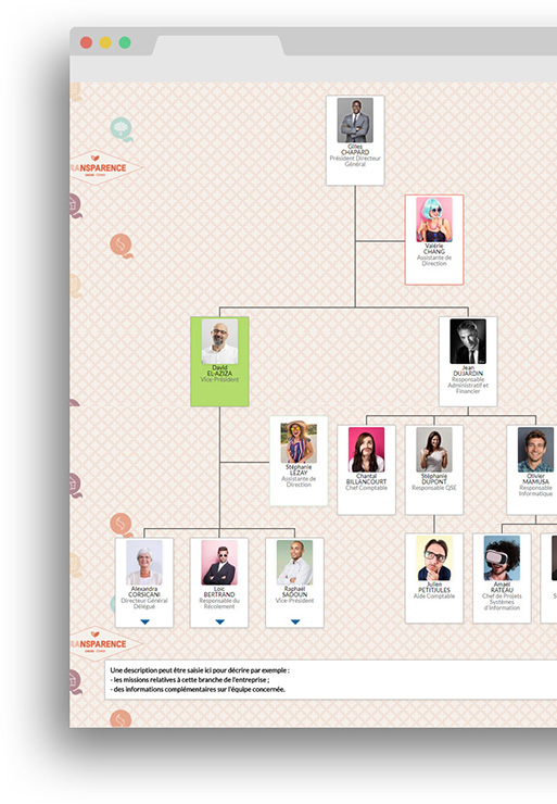 Organization Chart Design